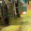 photo : S.Rande/CELC photo : S.Rande/CELC