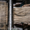 photo : S.Rande/CELC photo : S.Rande/CELC
