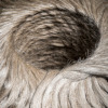photo : S.Rande/CELC photo : S.Rande/CELC